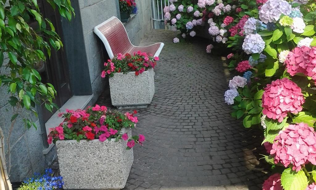 Casa Delle Ortensie Bed and Breakfast Alpignano Eksteriør billede